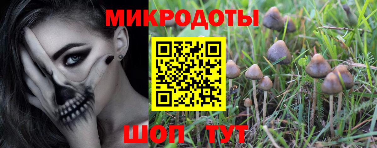 Псилоцибиновые грибы Magic Shrooms Ахтубинск